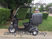 รถป๊อป 3 ล้อ Canopy 50cc.