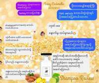 Fairy Shampoo ( ခေါင်းလျှော်ရေ )