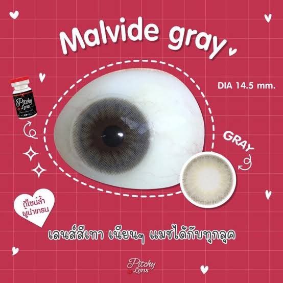 pitchylens-malvide-gray