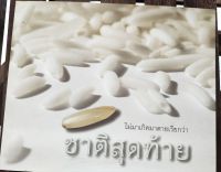 หนังสือ ไม่มาเกิดมาตายเรียกว่า "ชาติสุดท้าย" โดยหลวงตาพระมหาบัวญาณสัมปันโน