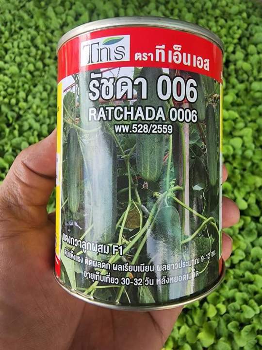 แตงกวารัชดา-ขนาด-100-กรัม-สินค้าขายดี