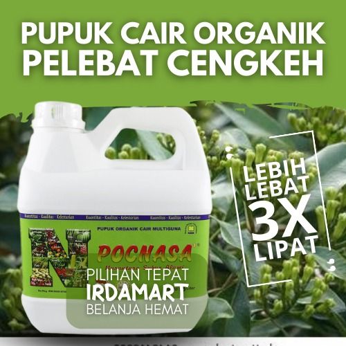 Pupuk Tanaman Cengkih Pupuk Pohon Cengkih Pupuk Cengkih Pupuk Cengkih Pupuk Pelebat 1580