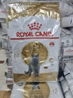 Royal Canin Adult British Shorthair 10 kg. (BBF: 06/07/23) - โรยัล คานิน อาหารเม็ด สำหรับแมว พันธุ์บริทิช ชอร์ทแฮร์ ขนาด 10 กิโลกรัม