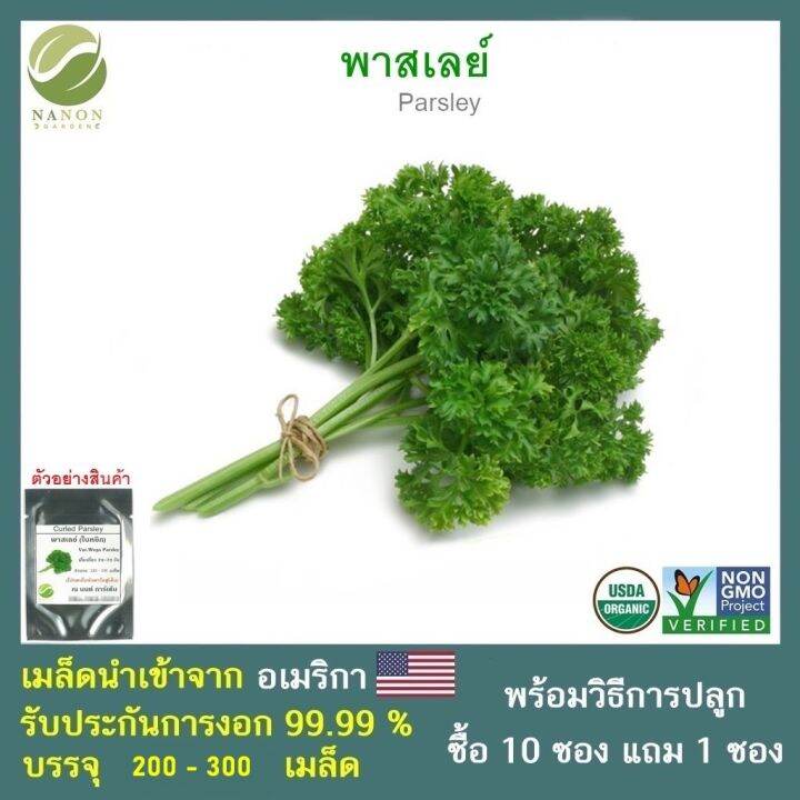 เมล็ดพาสเลย์-จำนวน-200-300-เมล็ด