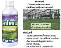 ลาโตเน่ ขนาด 1 ลิตร│เทพวัฒนา ตราปลาคู่│ยาเชื้อรา สารป้องกันกำจัดโรคพืช (แอนแทรคโนส สแคป เมลาโนส)