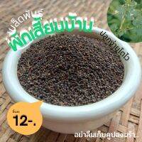 เมล็ดพันธุ์ผักเสี้ยน งอกง่ายโตไว ได้เยอะจุกๆ 12 บาท ได้เป็นร้อย อัตรางอก95%