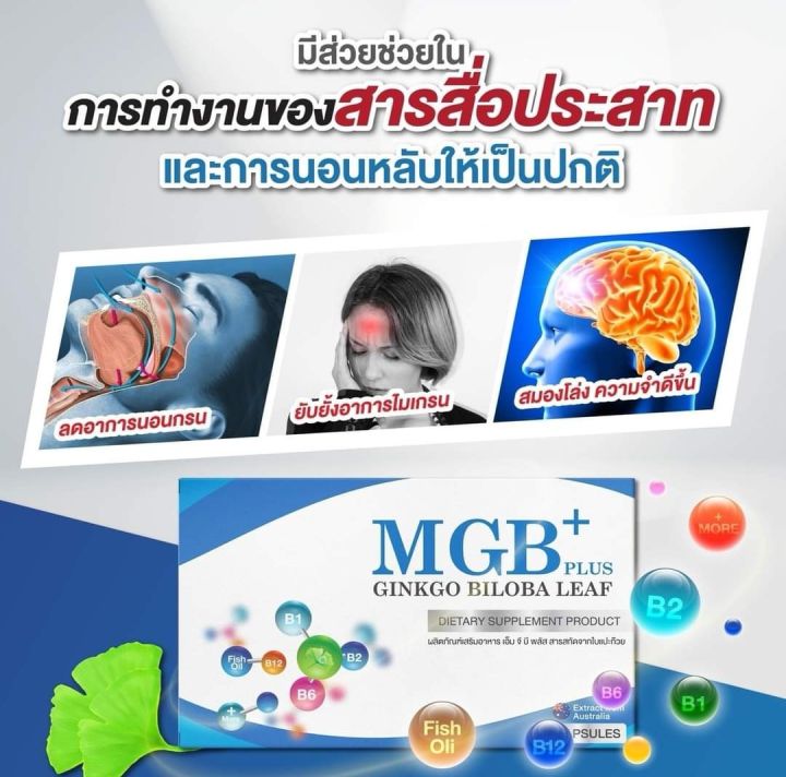 mgb-plus-นอนกรน-gmb-plus-ปวดหัวไมเกรน-วิตามินไมเกรน-ปวดไมเกรน-นอนกรน-วิตามินบำรุง-หูอื้อ