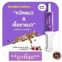 Lysine VP (Exp.04/2024)อาหารเสริมไลซีนเข้มข้นสำหรับน้องแมว (20 ml) เสริมภูมิ ทานง่าย เป็นเจลเลียได้ ไลซีนที่สัตวแพทย์แนะนำ นำเข้าจากยุโรปประเทศเซอร์เบีย