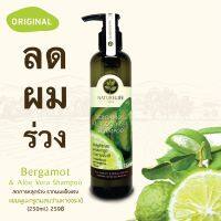 แชมพูลดผมร่วง(งอกเร็ว) ยาสระผม ว่านหางจระเข้ bergamot ลดผมร่วง มะกรูดว่านหางจระเข้ เนเจอร์ไลฟ์เฮิร์บ natural Shampoo 250 ml. แชมพูแก้ผมร่วง ผมสวย