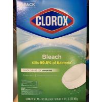 สินค้าพรีออเดอร์ Clorox Toilet Bleaching Cleaning Tablets (100G X 6 Pc)