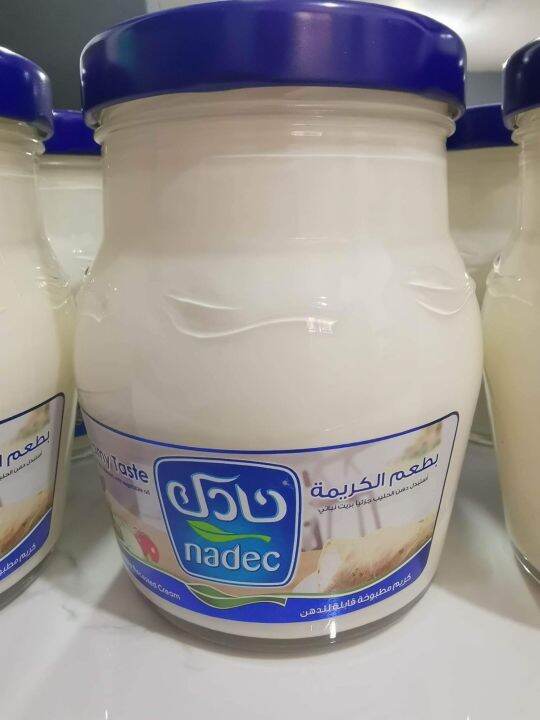 NADEC Cream Cheese 500 gms Lazada PH