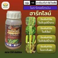 ฮาร์ทไลน์ เฮดไลน์ เซลติมา 250 ml ไพราโคลสโตรบิน 25% EC โรคเชื้อรา โรคใบไหม้ ใบจุดสีน้ำตาล ใบขีดสีน้ำตาล กาบใบแห้ง ราหลุม