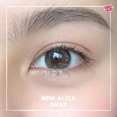 (สายตาปกติ) Kitty kawaii mini alica gray