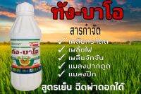 ทัง-บาโอ สารกำจัด เพลี้ยกระโดด เพลี้ยไฟ