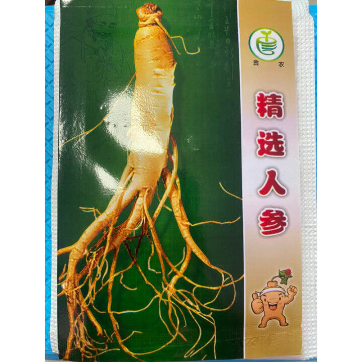 เมล็ดพันธุ์ โสมคน โสมเกาหลี ( Ginseng , Asian ginseng Seed ) บรรจุ 100