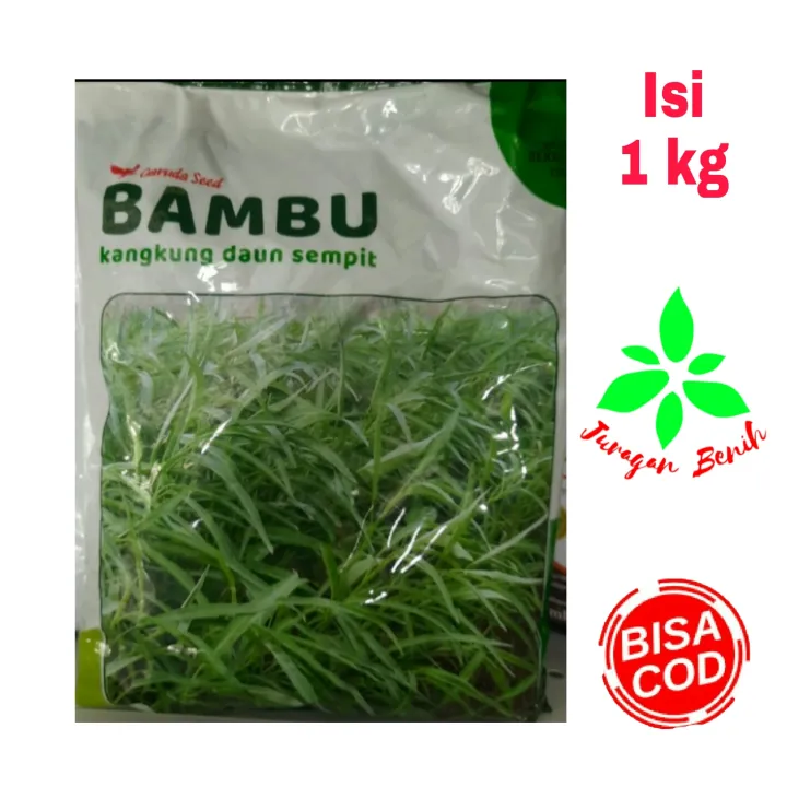 Isi 1 Kg Benih Kangkung Daun Sempit BAMBU - Bibit Kangkung Unggul ...