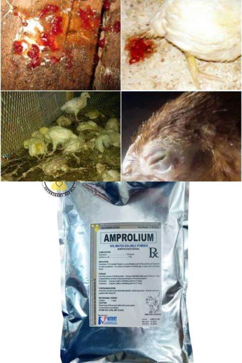 Amprolium anticoccidia 500grams | Lazada PH