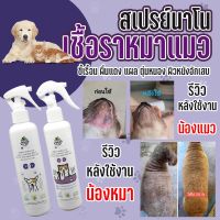 สเปรย์สุนัข ฉีดแผล ผื่นแดง เชื้อรา ตุ่ม ขี้เรื้อน 200ml