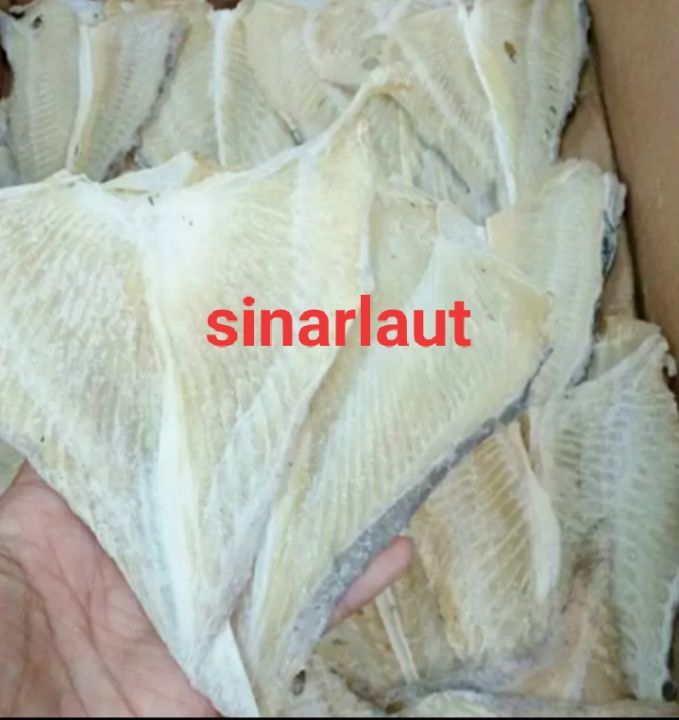 Ikan Asin Pari Kipas Ve Lalay 500gram 1kg Lazada Indonesia