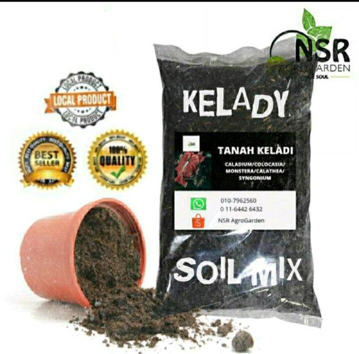 TANAH KELADI CAMPURAN Terbaik Mix Caladium Soil Easy & Fast