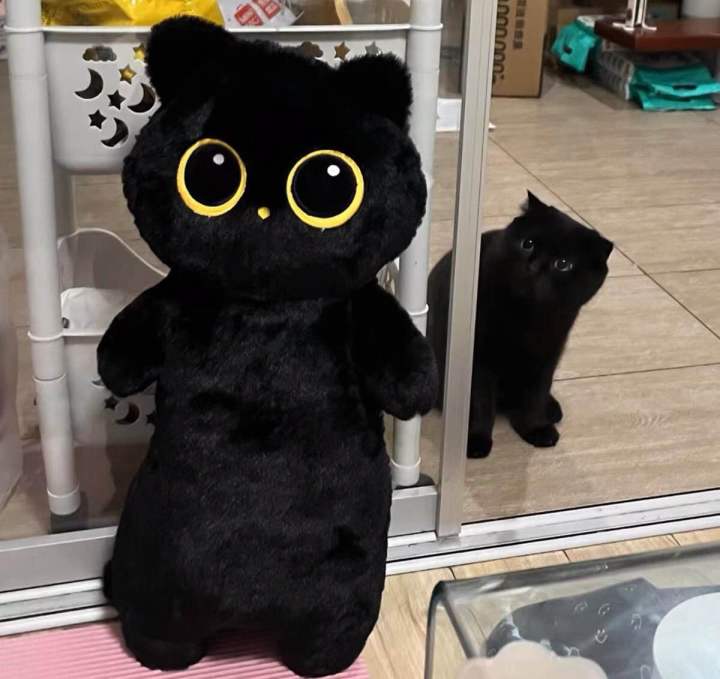 พร้อมส่ง-ตุ๊กตาแมว-ตุ๊กตาแมวดำ-หมอนข้างตุ๊กตา-หมอนข้างแมว