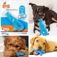 Nylabone Gentle Chew Teething ของเล่นขัดฟัน