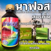 นาฟอส แลมบ์ดา ไซฮาโลทริน 2.5% W/V ออกฤทธิ์ เร็ว น็อกตัวแก่ สูตรเย็น ได้ทั้งเพลี้ยทั้งหนอนทุกชนิด