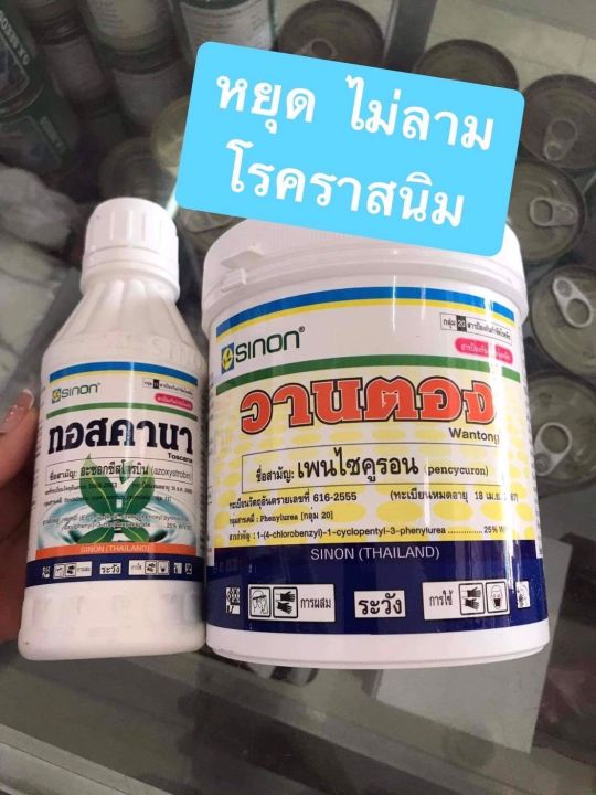 ทอสคานาผสมวานตอง-หยุดโรคราสนิม