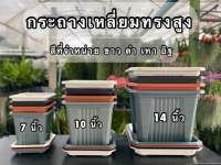 กระถางพลาสติก ทรงสูง พร้อมจานรอง ขนาด 7 นิ้ว/10นิ้ว/14 นิ้ว เป็นพลาสติกเกรด A หนา ทน