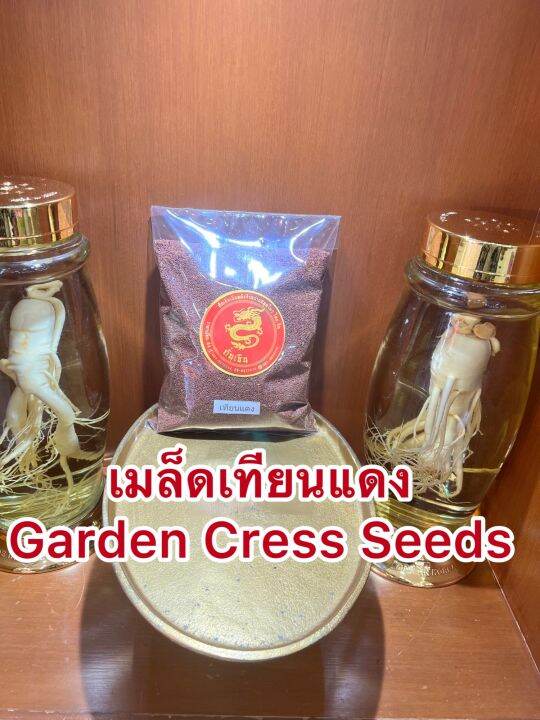 เมล็ดเทียนแดง-garden-cress-seeds-เทียนแดง-เมล็ดเทียนแดงบรรจุ1โลราคา140บาท