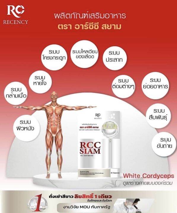 ถั่งเช่าสีขาว-rcc-siam-brand-อาร์ซีซี-สยาม