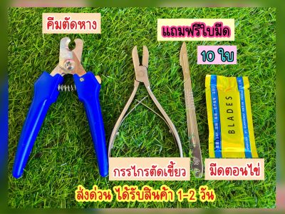 กรรไกรตัดเขี้ยวหมู มีดตอน กรรไกรตัดหางหมู ได้ครบ 3อย่าง แบบครบเซ็ต แถมใบมีด10ใบ