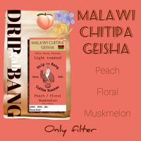 เมล็ดกาแฟคั่วอ่อนMalawi??Chitipa Geisha โทนพีช ดอกไม้ หอมหวาน( ดริป กับ บัง Drip gab bang )