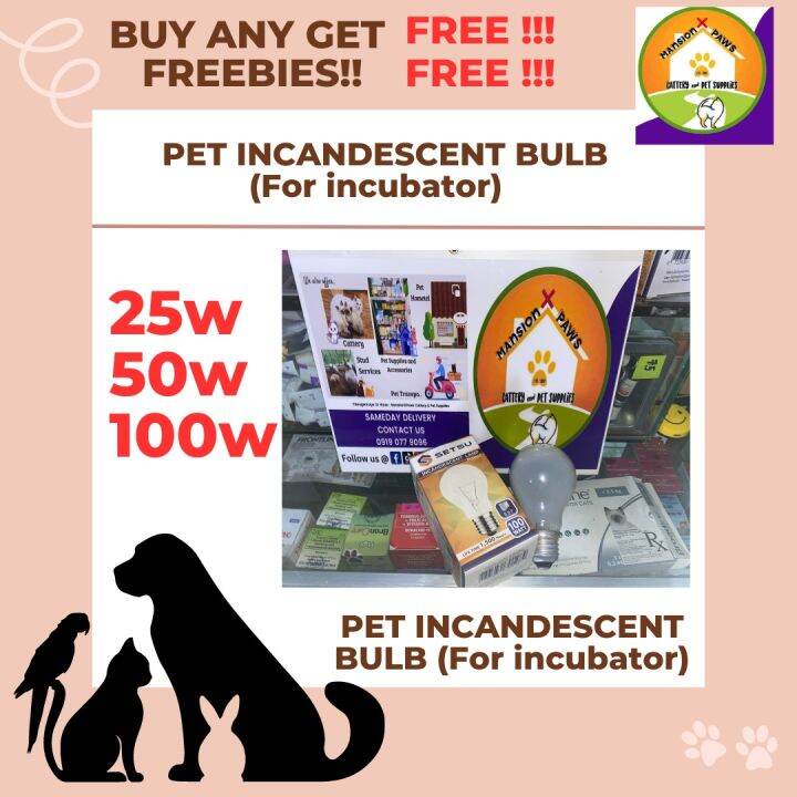 INCANDESCENT BULB FOR PET INCUBATOR Lazada PH