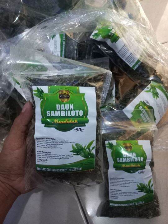 Daun Sambiloto Kering Isi 50 Gram Lazada Indonesia