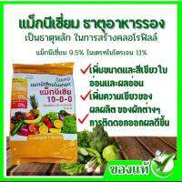 #แม็กนีเซีย กิฟฟารีน #ธาตุแม็กนีเซีย #ธาตุอาหารรอง #สร้างสีเขียวพืช #สร้างคลอโรฟิลล์พืช