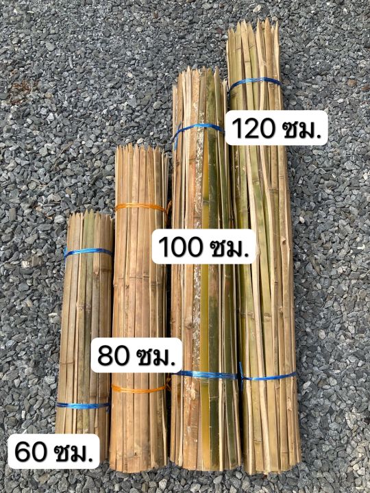 ไม้หลัก-ไม้ไผ่ปักหลัก-ไม้ไผ่เหลา-ไม้ไผ่หลักไม้เลื่อย-80-เซ็นติเมตร-10-อัน