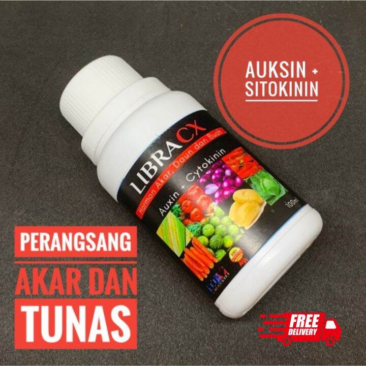 Hormon Auksin Dan Sitokinin Libra CX Isi 100ml Dapat Mempercepat ...