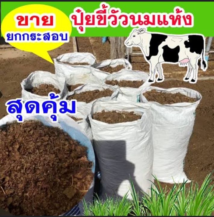 ปุ๋ยคอกขี้วัวแห้ง-ปุ๋ยขี้วัวแห้ง-ปุ๋ยคอกอัดเม็ด-ปุ๋ยคอกขี้วัว-ขี้วัวอัดเม็ด-ปุ๋ยคอกมูลโค-ตากแห้งๆ-ไม่ผสมดิน-น้ำหนักเบา-ไม่เปียกชื้น