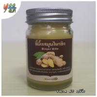 ?ขี้ผึ้งสมุนไพรขิง Ginger Balm ขนาด 60 กรัม ยาหม่องสมุนไพรขิง ขี้ผึ้งขิง ยาหม่องขิง