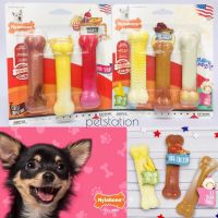 Nylabone Power Chew ของเล่นขัดฟัน