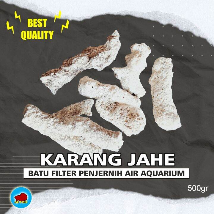 Batu karang jahe media filter air aquarium 500gr dan menaikan pH air