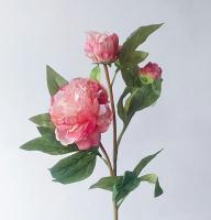 ดอกโบตั๋น Peony ดอกใหญ่ สีสวย ดอกไม้ปลอม สวยเหมือนจริง