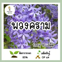 เมล็ดพันธุ์ พวงคราม 10เมล็ด