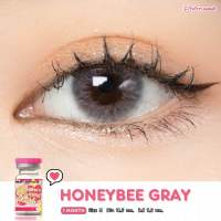 คอนเเทคเลนส์ Kittykawaii honey bee (14.5)