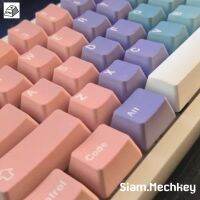 พร้อมส่งที่ไทย Gradient Theme PBT Keycaps 124 keys OEM Profile พิมพ์แบบ Dye Sub วัสดุ PBT