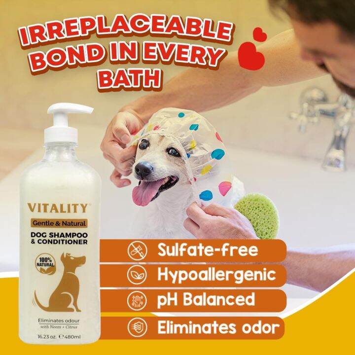 Vitality Shampoo 480ml Lazada PH