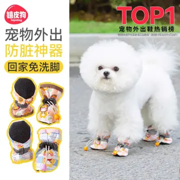 Dog shoes outlet lazada