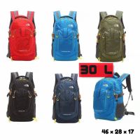 the north face 30 L (TN3002)