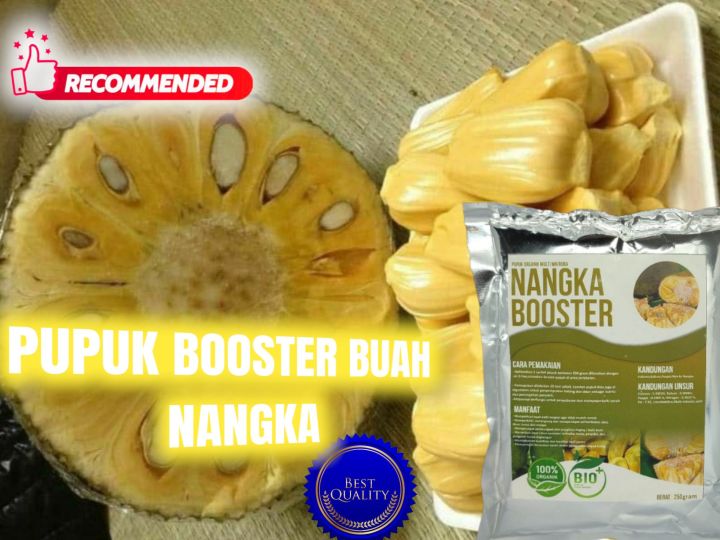 Murah Pupuk Booster Buah Nangka Penyubur Buah Nangka Pupuk Organik Pupuk Cair Organik Pupuk 